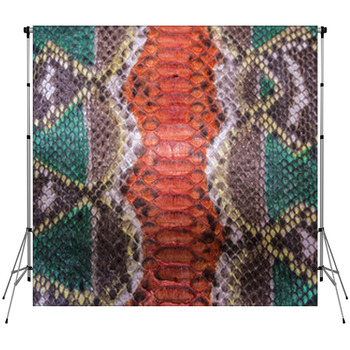 Snake Skin Background Custom Size Backdrop