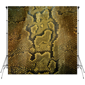 Snake Skin Custom Size Backdrop