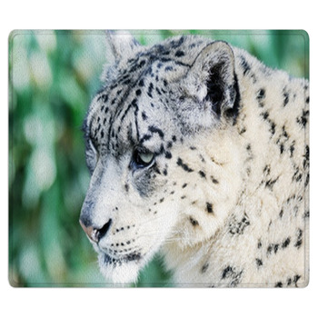Snow Leopard Head Bath Mat