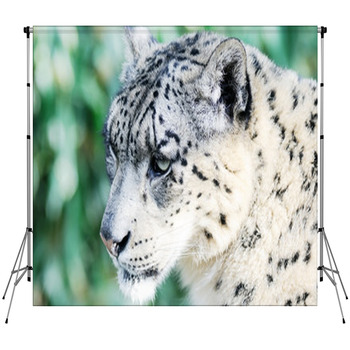 Snow Leopard Head Fleece Backdrop