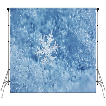 Snowflake Backdrops