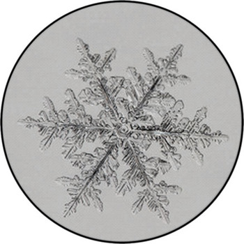 Snowflake Round Rug