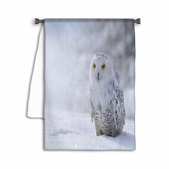 Snowy Owl Sitting On The Snow Towel