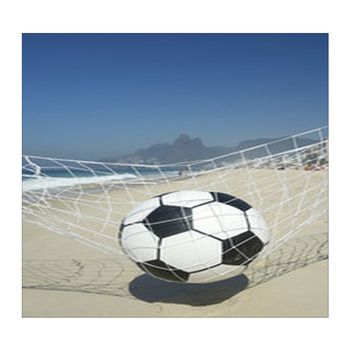 Soccer Wall Decor | Murals | Tapestry | Posters | Custom Sizes