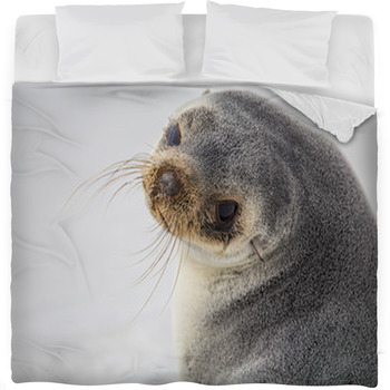 South American Fur Seal Fleece Bed Blanket