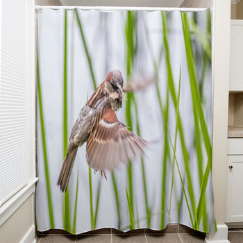 Sparrow Hunting Among Grasses With Insect  Shower Curtain