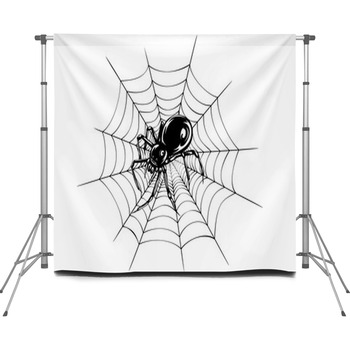 Spider And Web Custom Size Backdrop