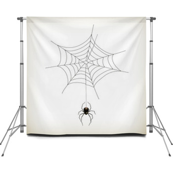 Spider And Web Custom Size Backdrop