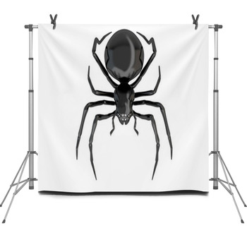 Spider Fleece Backdrop