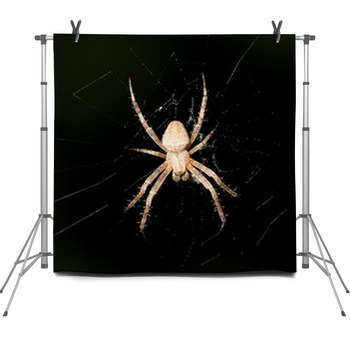 Spider On The Web At Night Fleece Backdrop