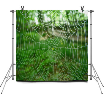 Spider Web Fleece Backdrop