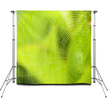 Spider Web Pattern For Halloween Custom Size Backdrop