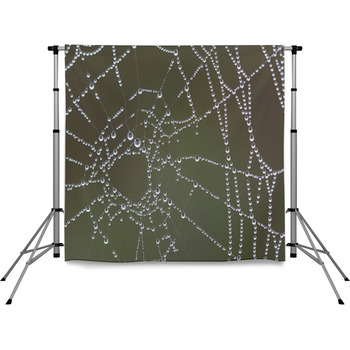 Spider Web. Pole Pocket Backdrop