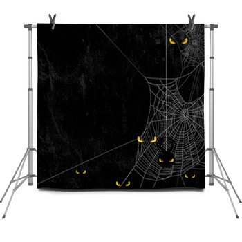 Spider Web Silhouette Against Black Fleece Backdrop