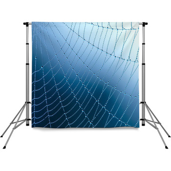 Spider Web With Water Drops Pole Pocket Backdrop
