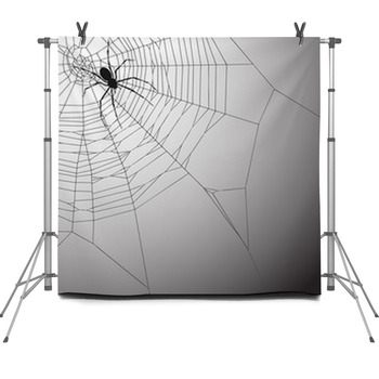 Spiderweb Background Fleece Backdrop