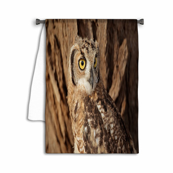 Spotted Eagle-owl Portrait, Kalahari Towel