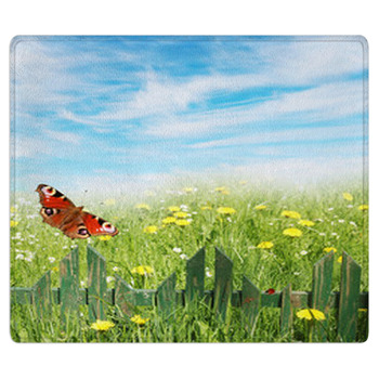 Spring Background, Grass And Wooden Fence Area Rug