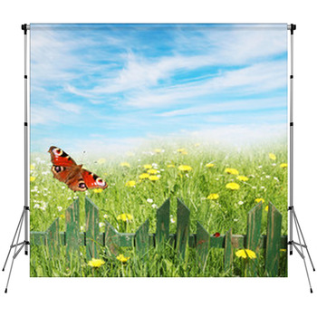 Spring Background, Grass And Wooden Fleece Backdrop
