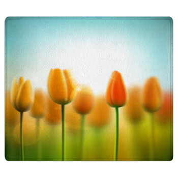 Spring Area Rugs & Custom Size Floor Mats