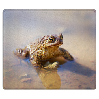 Spring Brown Frog Bath Mat