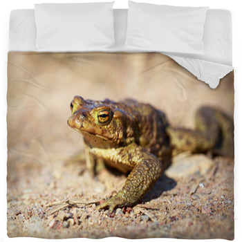 Spring Brown Frog Fleece Bed Blanket