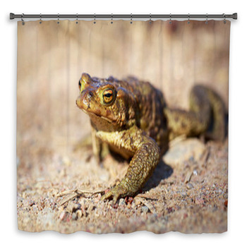 Spring Brown Frog Shower Curtain
