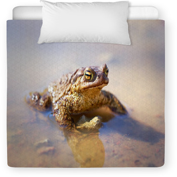 Spring Brown Frog Toddler Comforter