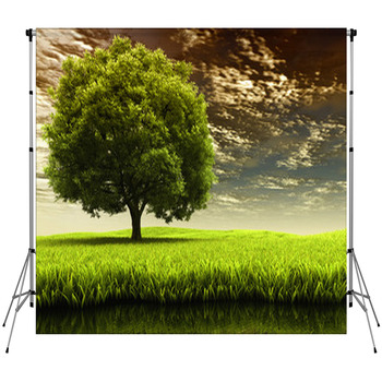 Spring Landscape Custom Size Backdrop