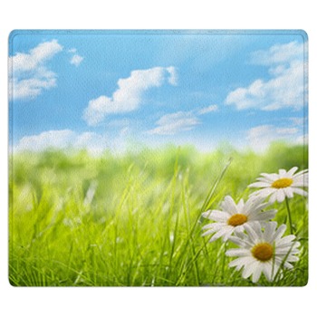 Spring Rugs