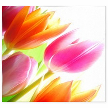 Spring Tulips Custom Size Floor Mat