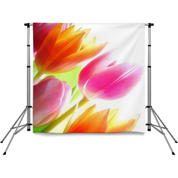 Spring Tulips Pole Pocket Backdrop