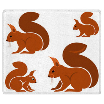 Squirrel Area Rug