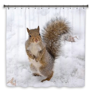 Squirrel Custom Size Shower Curtain