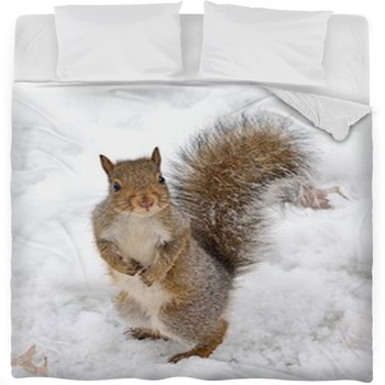 Squirrel Fleece Bed Blanket