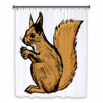 Squirrel, Illustration Of Custom Size Shower Curtain
