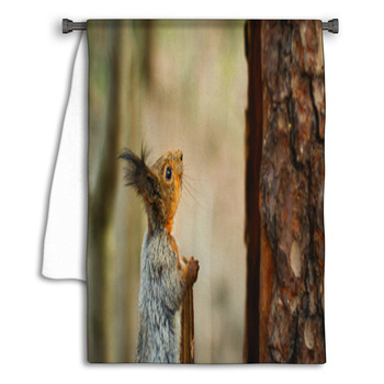 Squirrel Looking Up The Tree Towel