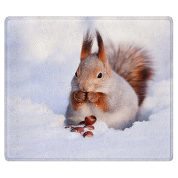Squirrel On The Snow Area Rug