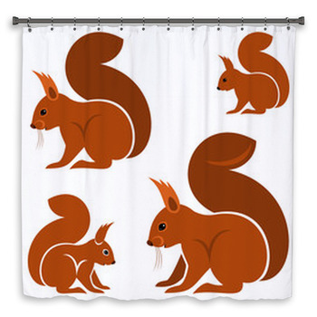 Squirrel Shower Curtain