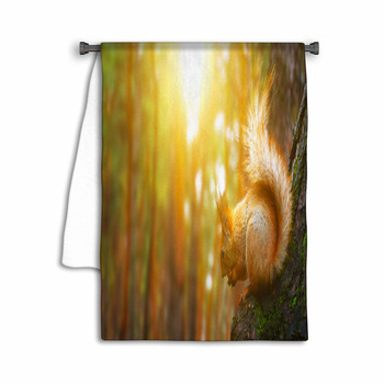 Squirrel Towel