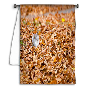Squirrel Walking On Leaves In Autumn Towel