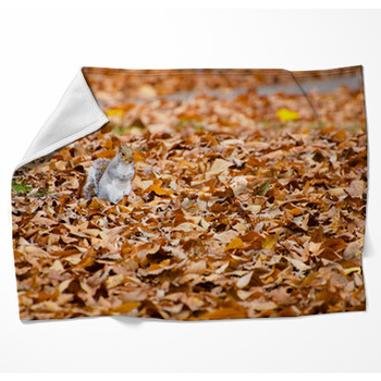 Squirrel Walking On Leaves In Autumn Woven Throw Blanket