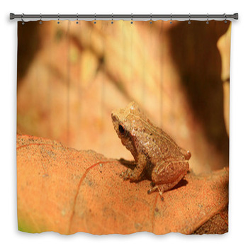 Sri Lanka Endemic Frog Custom Size Shower Curtain