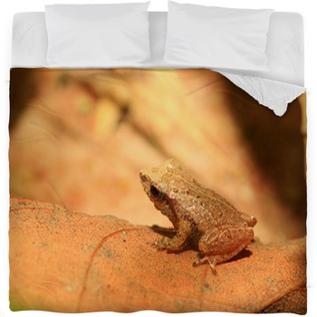 Sri Lanka Endemic Frog Fleece Bed Blanket