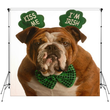 St. Patricks Day - Bulldog Wearing Kiss  Fleece Backdrop