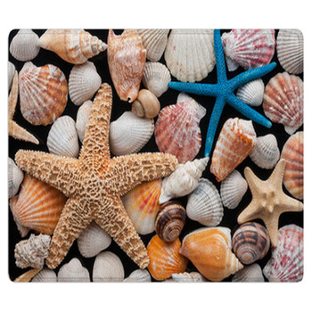 Starfish And Shells Area Rug
