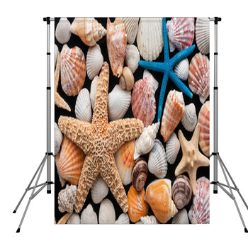 Starfish And Shells Pole Pocket Backdrop