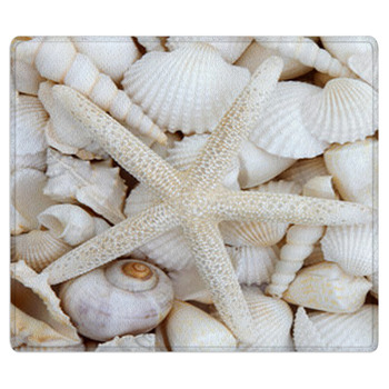 Starfish Beauty Area Rug