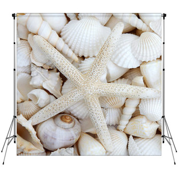Starfish Beauty Fleece Backdrop