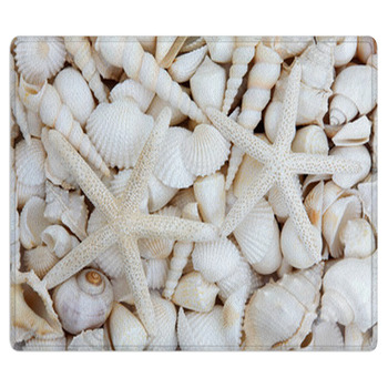 Starfish Lovers Area Rug